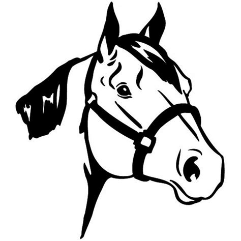 Kleurplaten Paardenhoofd