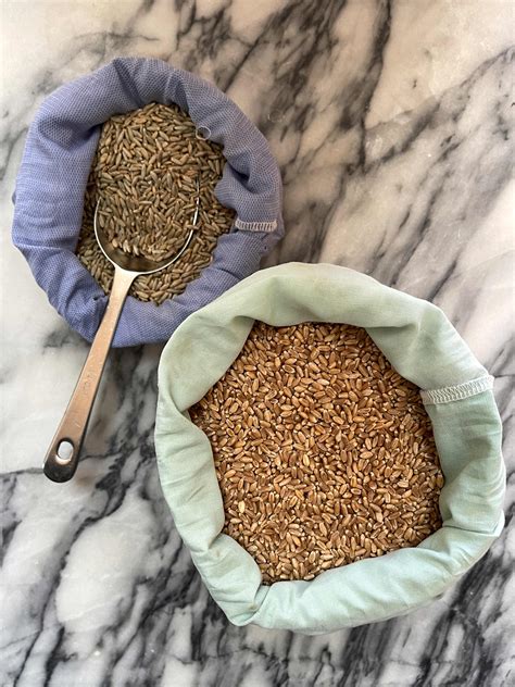 5 Ways To Love Wheat Berries And How To Cook Them Zero Waste Chef