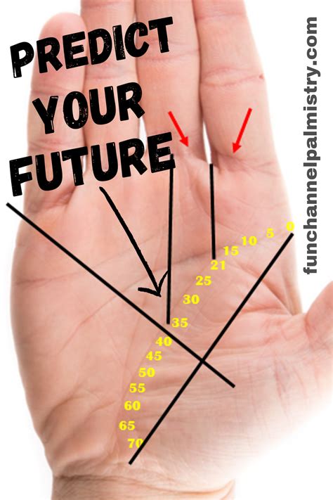 Success Lines On Palm And How To Time The Life Line In Palmistry Artofit