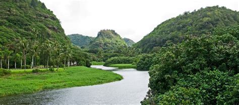 Waimea Valley And Waimea Falls One Of The Best Easy Hikes In Oahu
