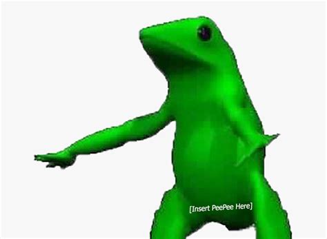 27 Png Rainbow Frog  Woolseygirls Meme