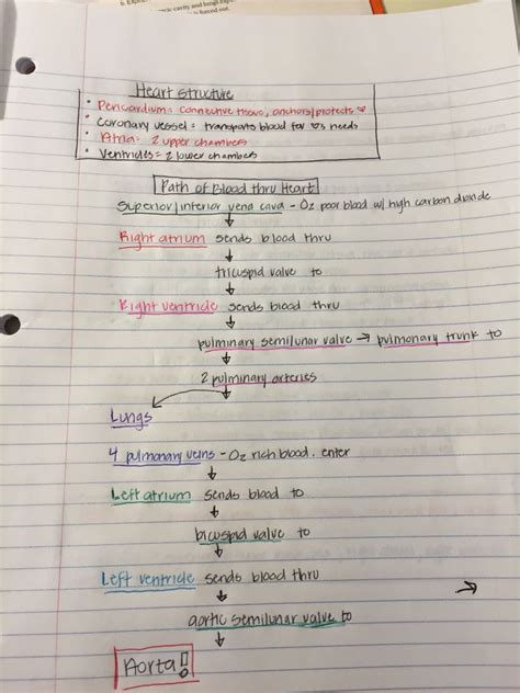 Visual Biology Notes English Class English Grammar Learn English