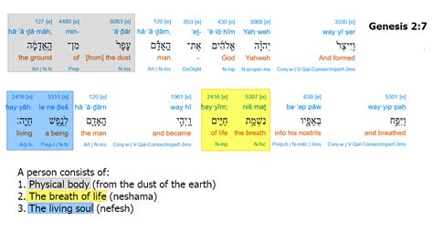 Neshama What Does The Breath נְשָׁמָה Of Life Mean In Genesis 27