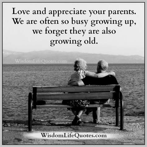 Love And Appreciate Your Parents Wisdom Life Quotes