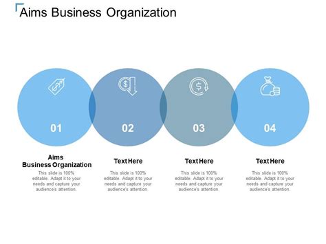 Aims Business Organization Ppt Powerpoint Presentation Layouts Example