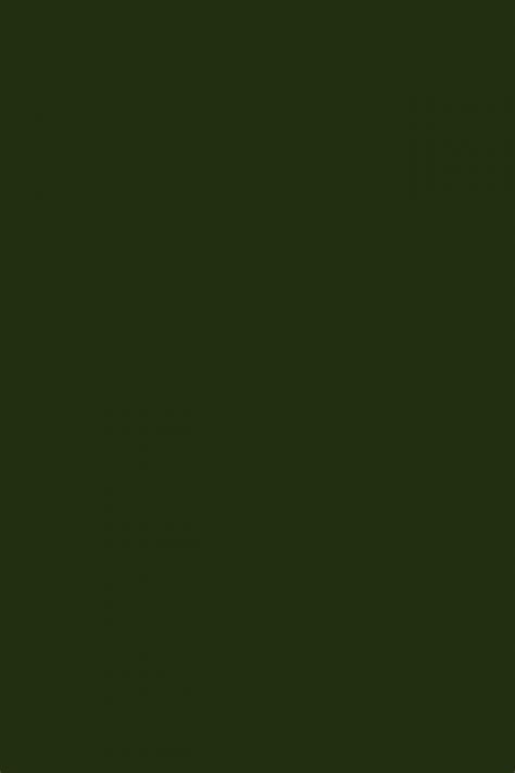 Olive Green Background Free Stock Photo Public Domain Pictures