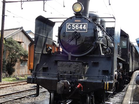 A Memorable Excursion By Steam Locomotive Along Oigawa River Shizuoka