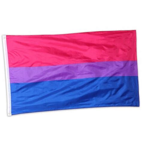 2 pack bisexual pride flag 5x3 feet for pride month parades events garden decor pack kroger