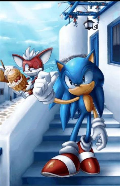 Sonic The Werehog And Chip