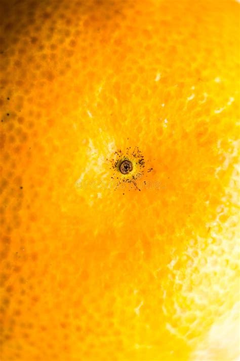 Closeup Of The Skin Of The Tangerine Stock Image Image Of Fusilli