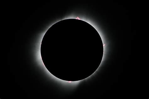 Días Que Nadie Olvidará Documental Del Eclipse De Sol En Un Campo De