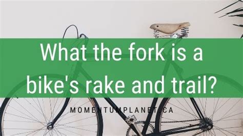 Know Your Bike Rake And Trail Momentumplanetca