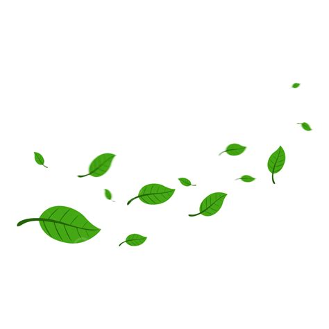 Green Floating Leaves Png Transparent Green Leaves Floating Hand