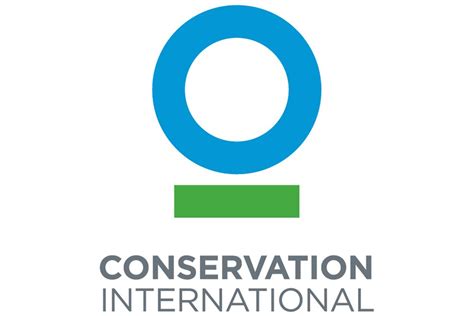 The Top 10 Wildlife Conservation Organizations