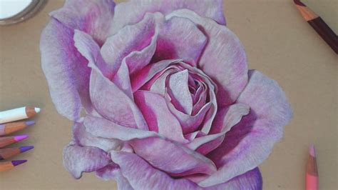 Drawing A Realistic Rose Colored Pencils Paintingtube