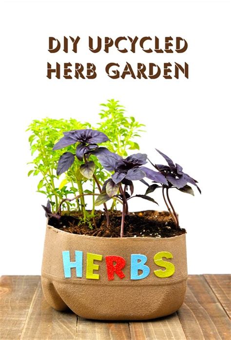 Herb Gardens To Practice Your Green Thumb With