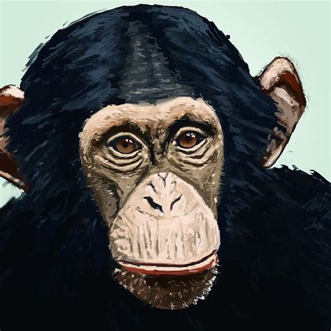 Chimpanzee Painting Art Painting Drawing Illustration Animals
