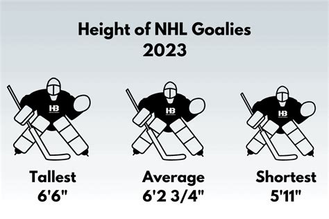 Average Height And Weight Of Hockey Goalies Nhl 2023 Horton Barbell