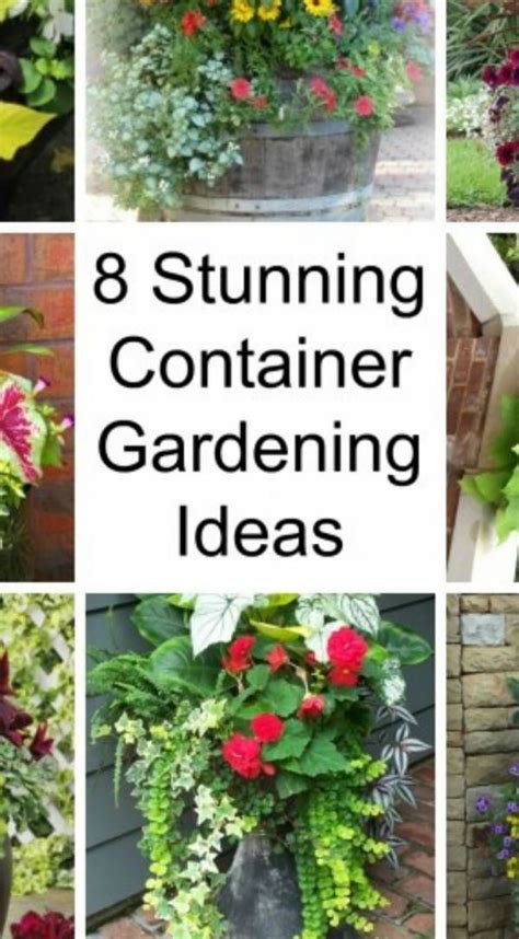 8 Stunning Container Gardening Ideas Container Gardening