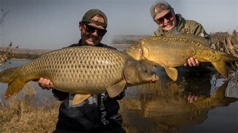 Big Carp Fishing At Buffelspoort Dam Carp Fishing South Africa 2020