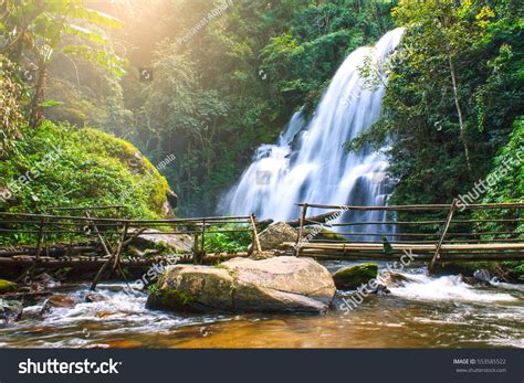 Pha Dok Siew Waterfall Deep Forest Stock Photo 553585522 Shutterstock