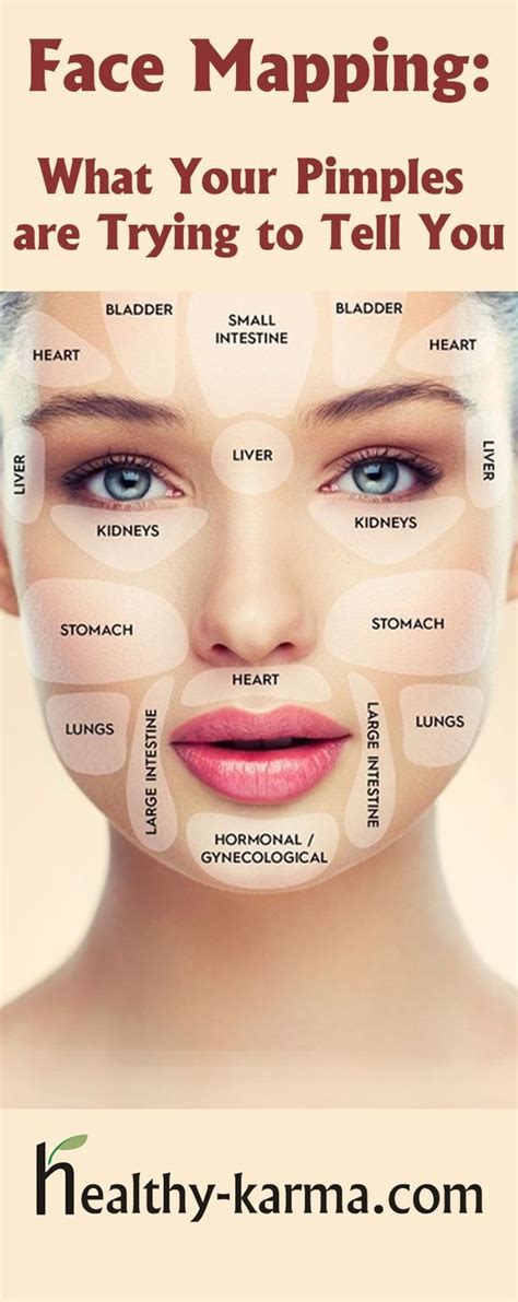 Incredible Face Map What Is Your Face Trying To Tell You Healthy