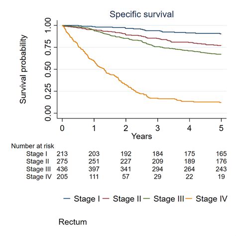 Specific Survival Rates For Rectal Cancer According To Stages On