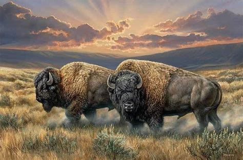 Pin By Lisa Davidson On Buffalobison Bison Art Buffalo Painting