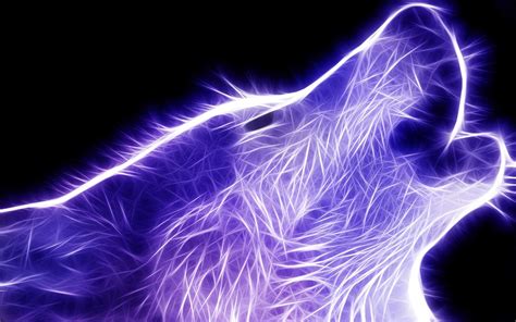 We did not find results for: HD Wolf Wallpapers p 1920×1200 Wolve Wallpapers (37 ...