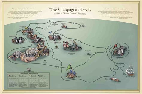 Galapagos Islands Darwin Inspiration Pre Tend Be Curious Travel
