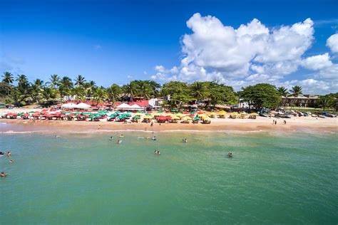 5 atrações na praia do forte a praia do forte é um dos principais destinos do litoral baiano