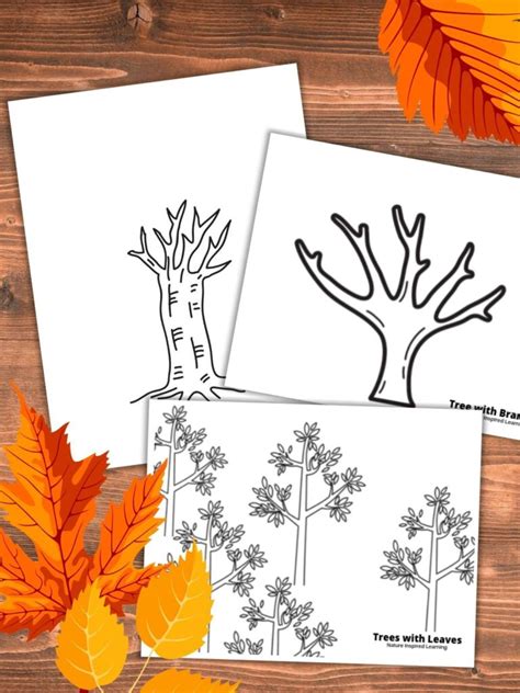Orange Tree Coloring Pages