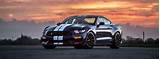 Images of Shelby Gt350 Performance