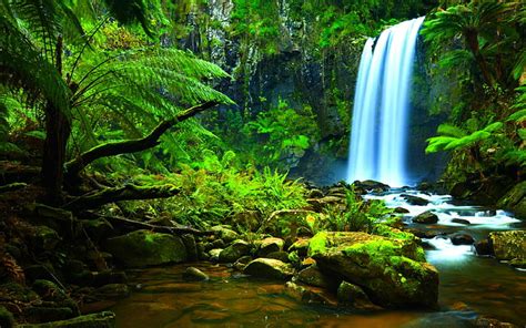 Free Download Beautiful Costa Rica Falls River Jungle Lush Green