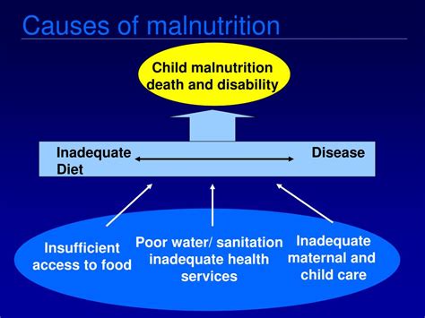 Ppt Nutrition And The Physiology Of Malnutrition Powerpoint
