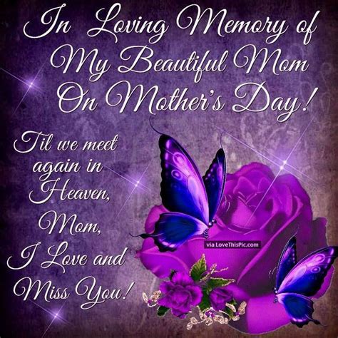a purple rose and butterflies with the words in loving memory of my