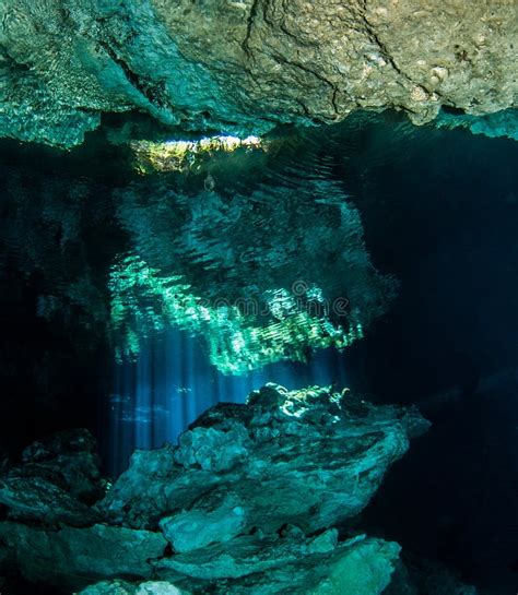 Scuba Diving In The Cenote Jardin Del Eden Mexico Stock Photo Image