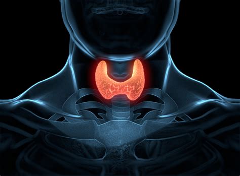 7 things you need to know about thyroid cancer john wayne cancer institute blog