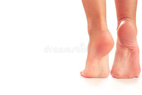 Female Feet Stand On Toes Stock Photo Image Of Background 123813050