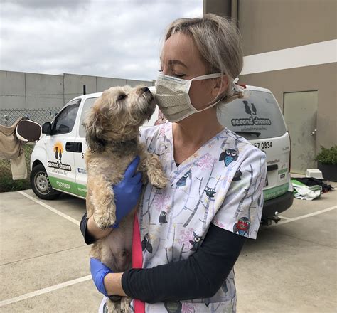 Welcome to the westside veterinary clinic. Animal shelter offers kerb-side pet drop off for vet ...