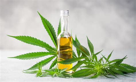 Cannabidiol (cbd) is a phytocannabinoid discovered in 1940. How To Spot Fake CBD - The Fresh Toast