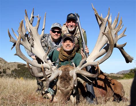 5 Day New Zealand Red Stag Hunt For 2 Hunters Scoring Up To 380 Sci