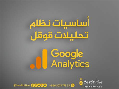 Google Analytics Vip