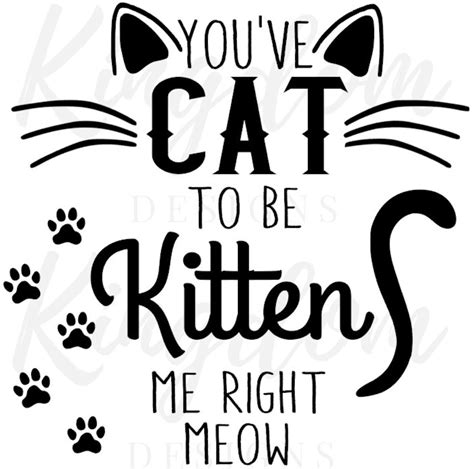 Youve Cat To Be Kitten Me Right Meow Svg Etsy