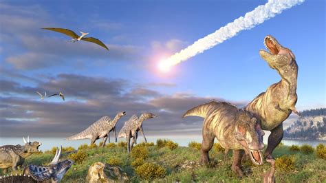 Aussterben Der Dinosaurier Was In Den Letzten Stunden Geschah Welt