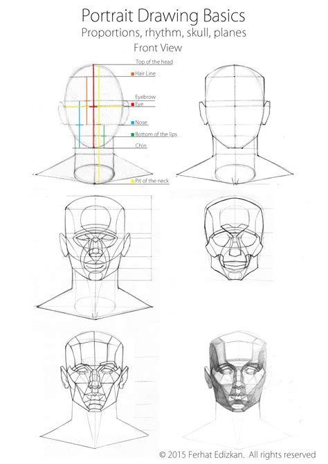 Pencils & paper for portrait drawing. Portrait Drawing Basics | Portrait drawing, Portrait ...
