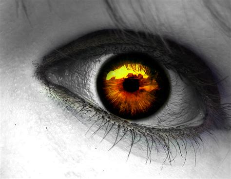 Werewolf Eye By Cursed Arcade On Deviantart