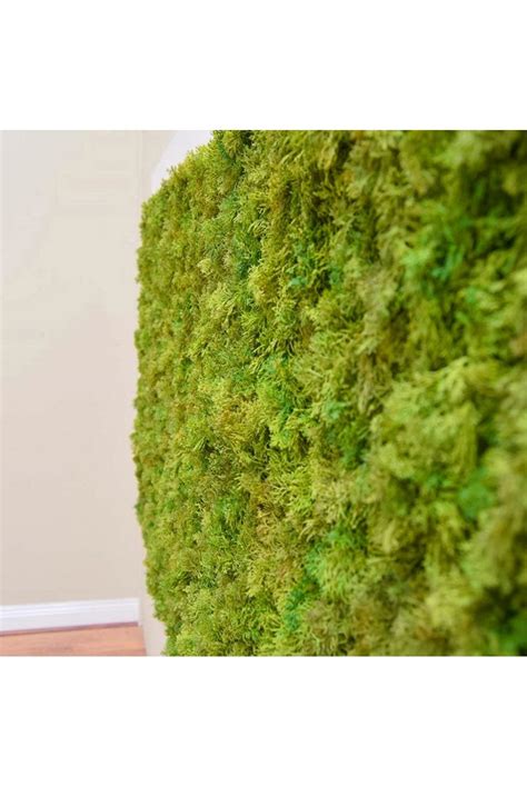 Artificial Exterior Moss Panel