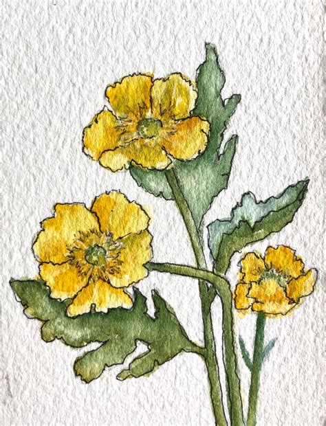 Buttercup Flowers Art Card Original Watercolor Artist Trading Etsy