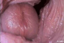 Camera Inside The Vagina During Porno Images Top Rated